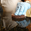 Tile and Surface Maintenance