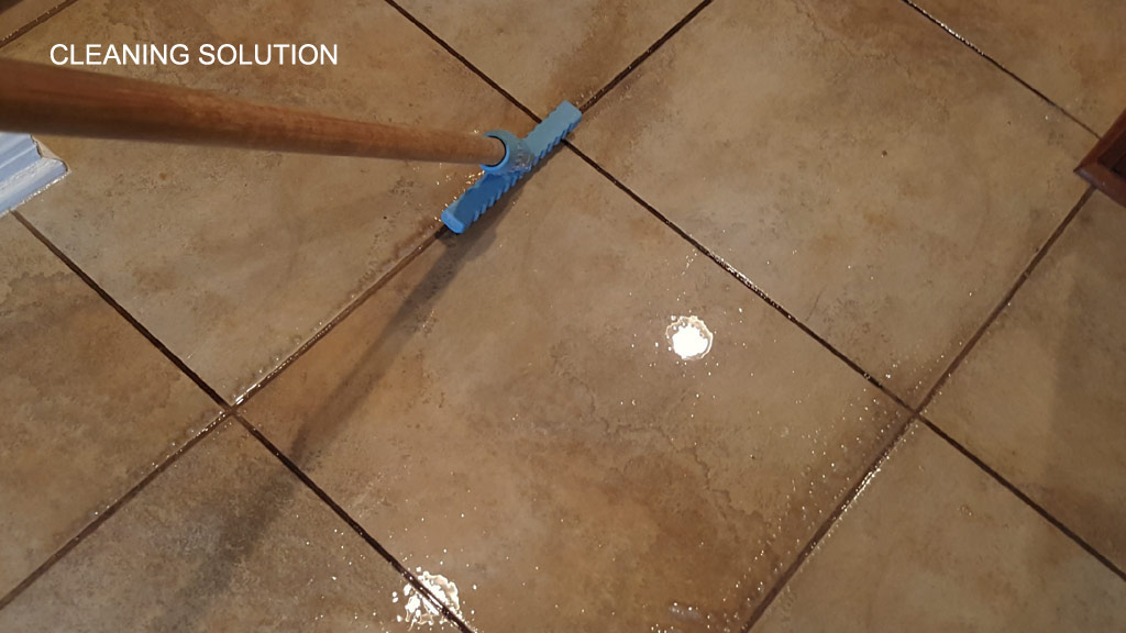 Professional Grout Cleaning Solution