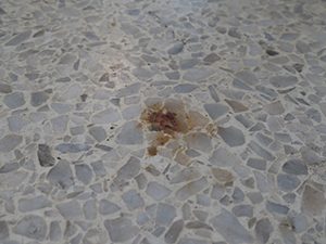 How To Remove A Terrazzo Stain