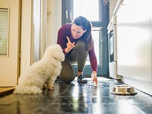 Removing Urine Stains and Odors on Natural Stone