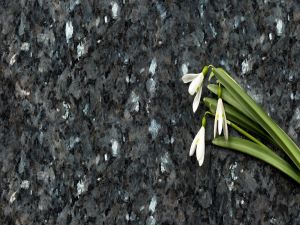 What gives granite its shine?